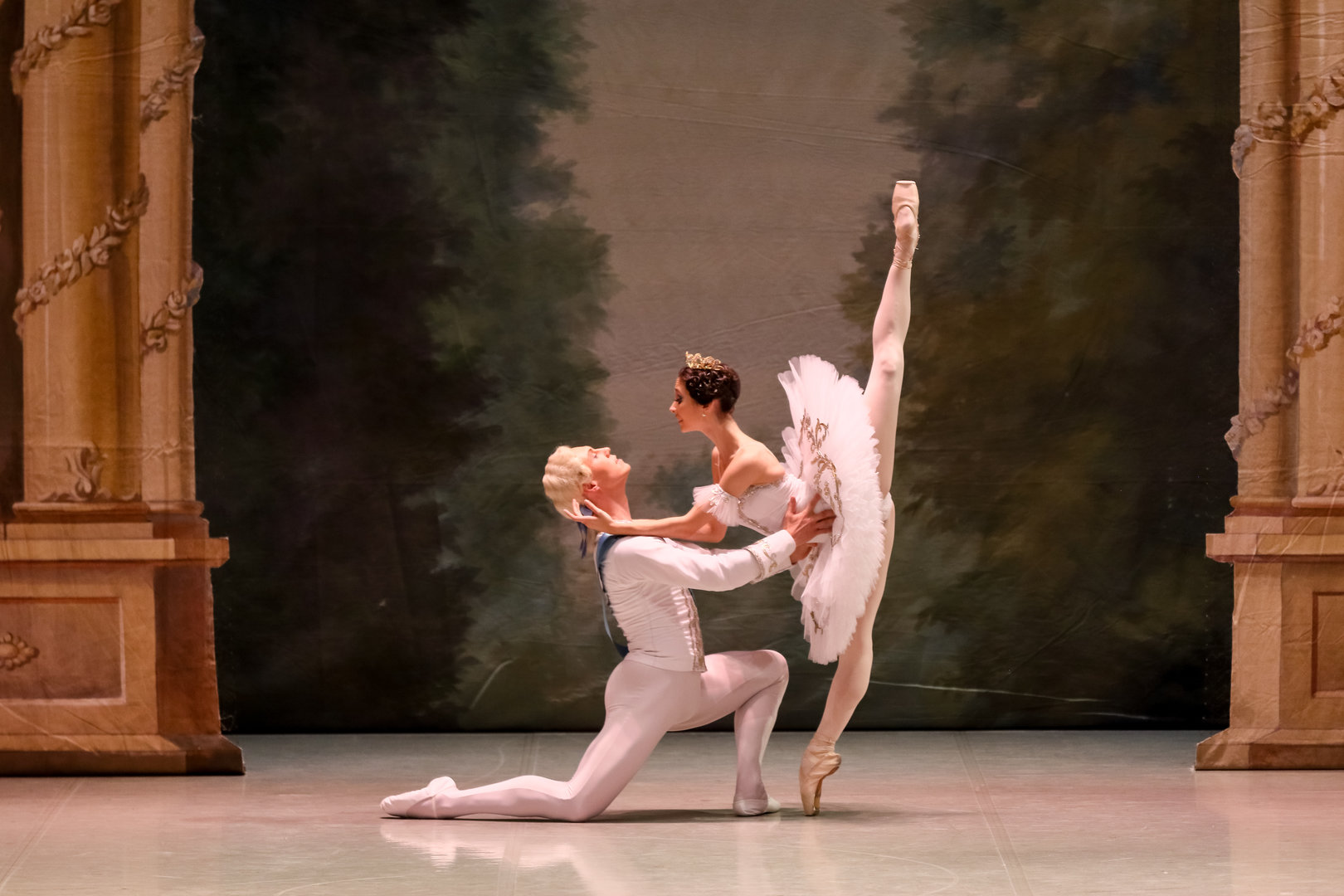 Спящая красавица