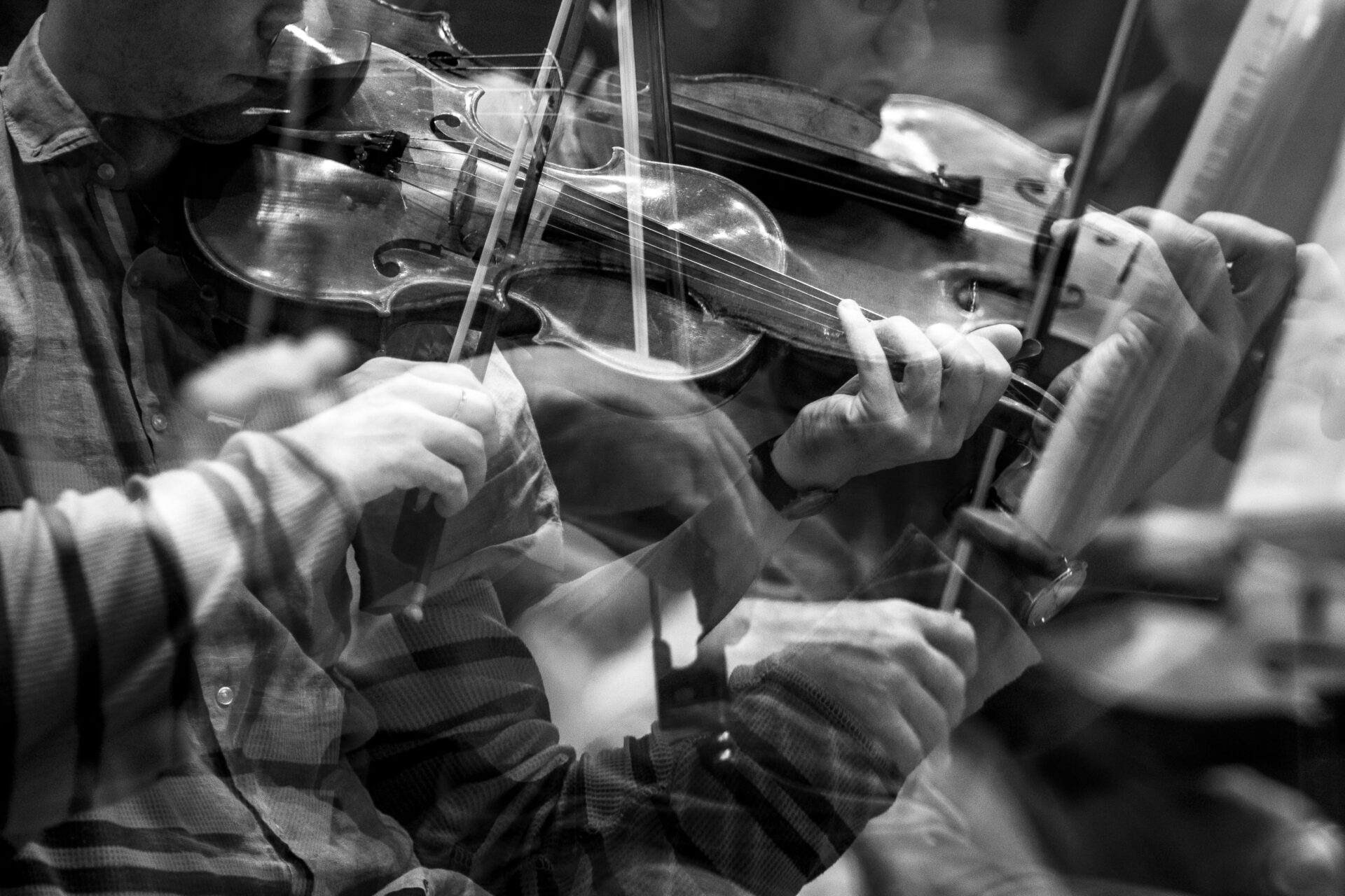 Камерный концерт ансамблей musicAeterna