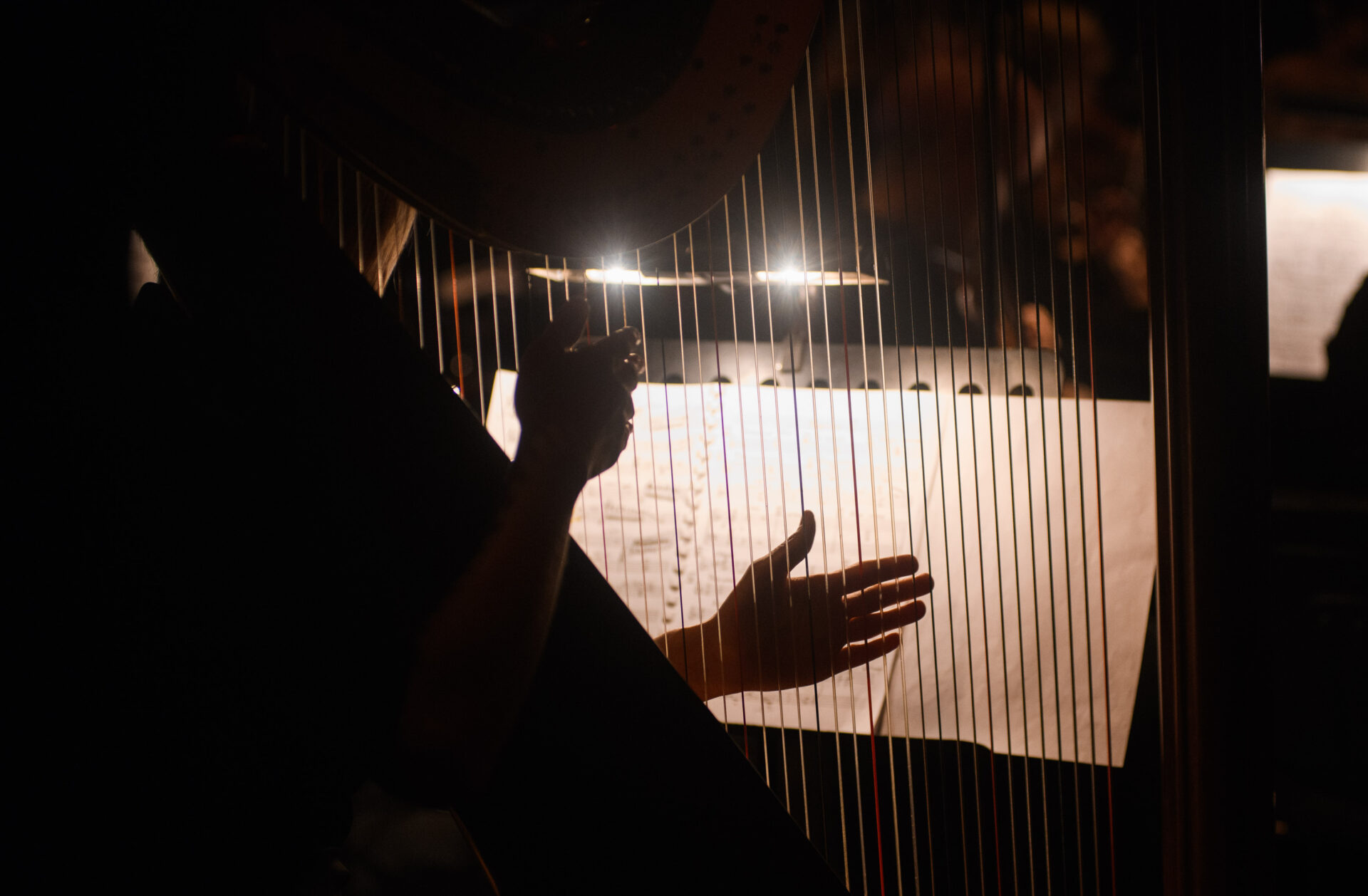 Если бы у моих стихов были крылья. Музыка для арфы