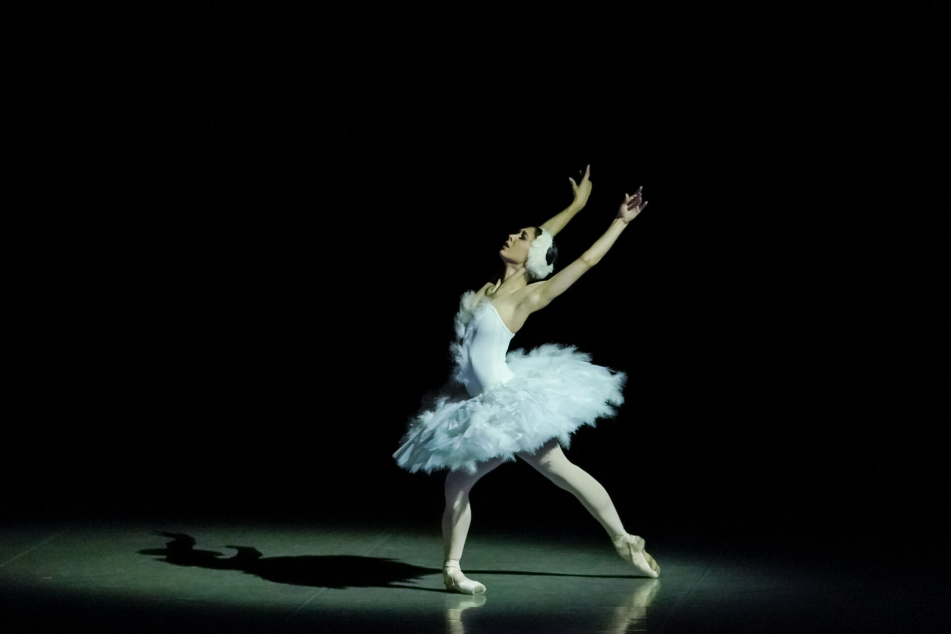 Умирающий лебедь