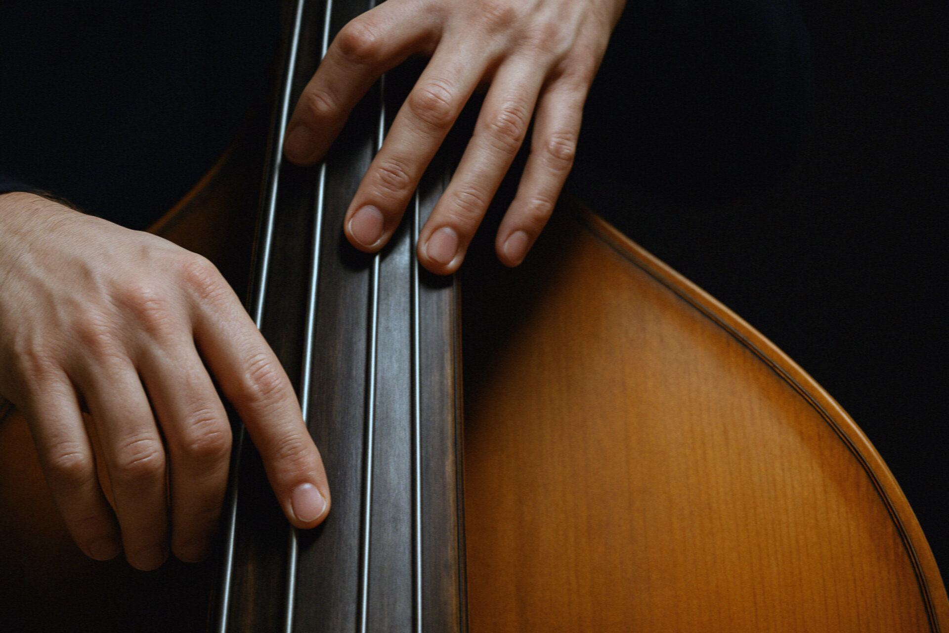 Контрабас — живое звучание (Contrabasso suono vivo)